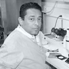 Pablo Vivas, Ph.D.
