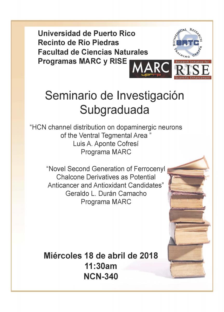 Seminar - Luis Aponte (18 abril 2018)